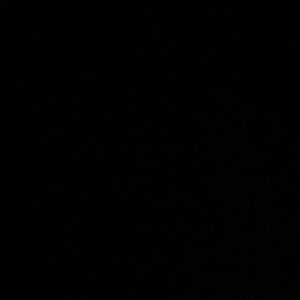 Meet your Posher, Monae